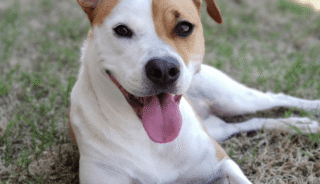 ফ্রেম-৩৪০-৪